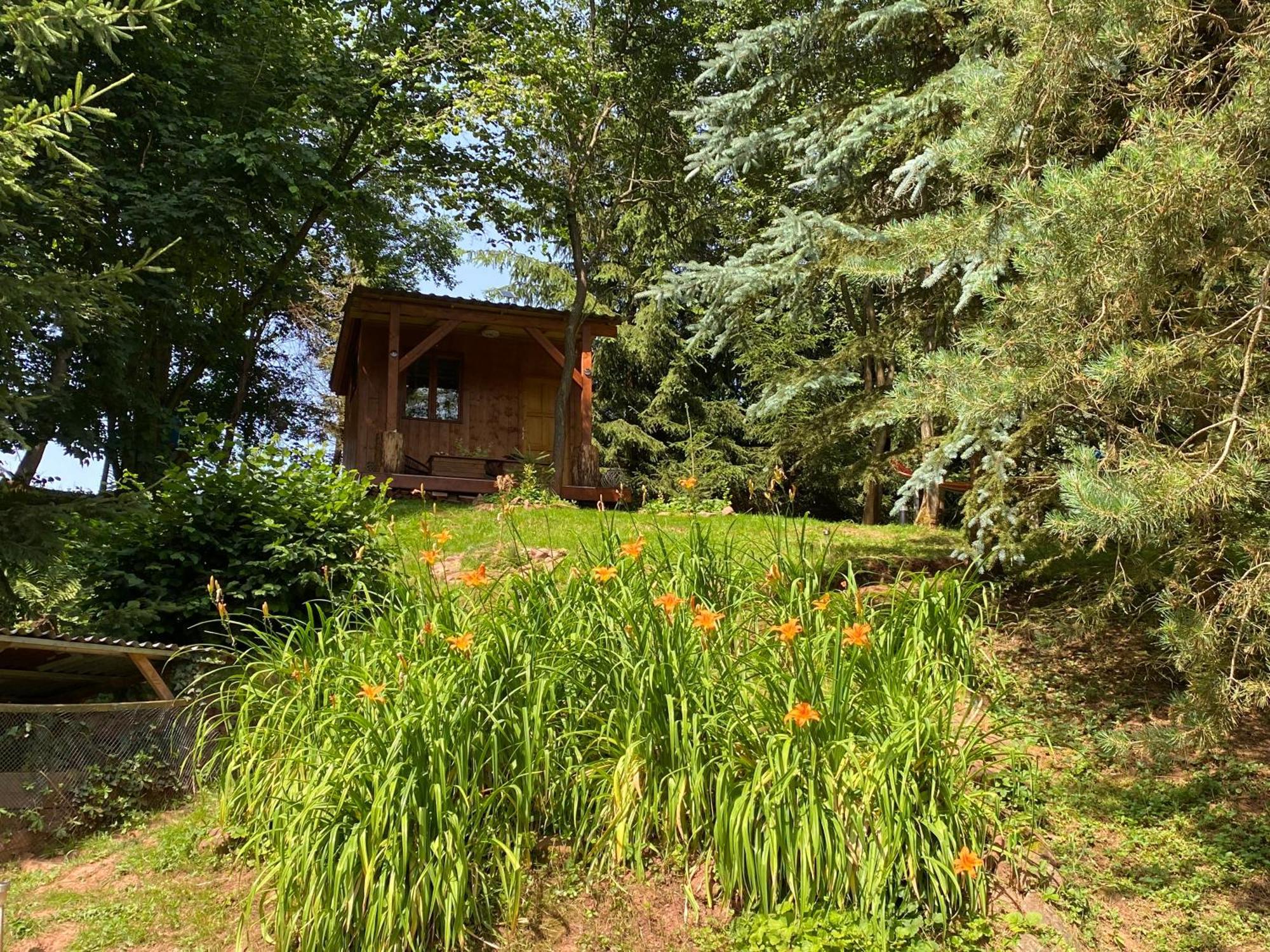Tiny Resort Chotevice 1 Kottwitz Esterno foto